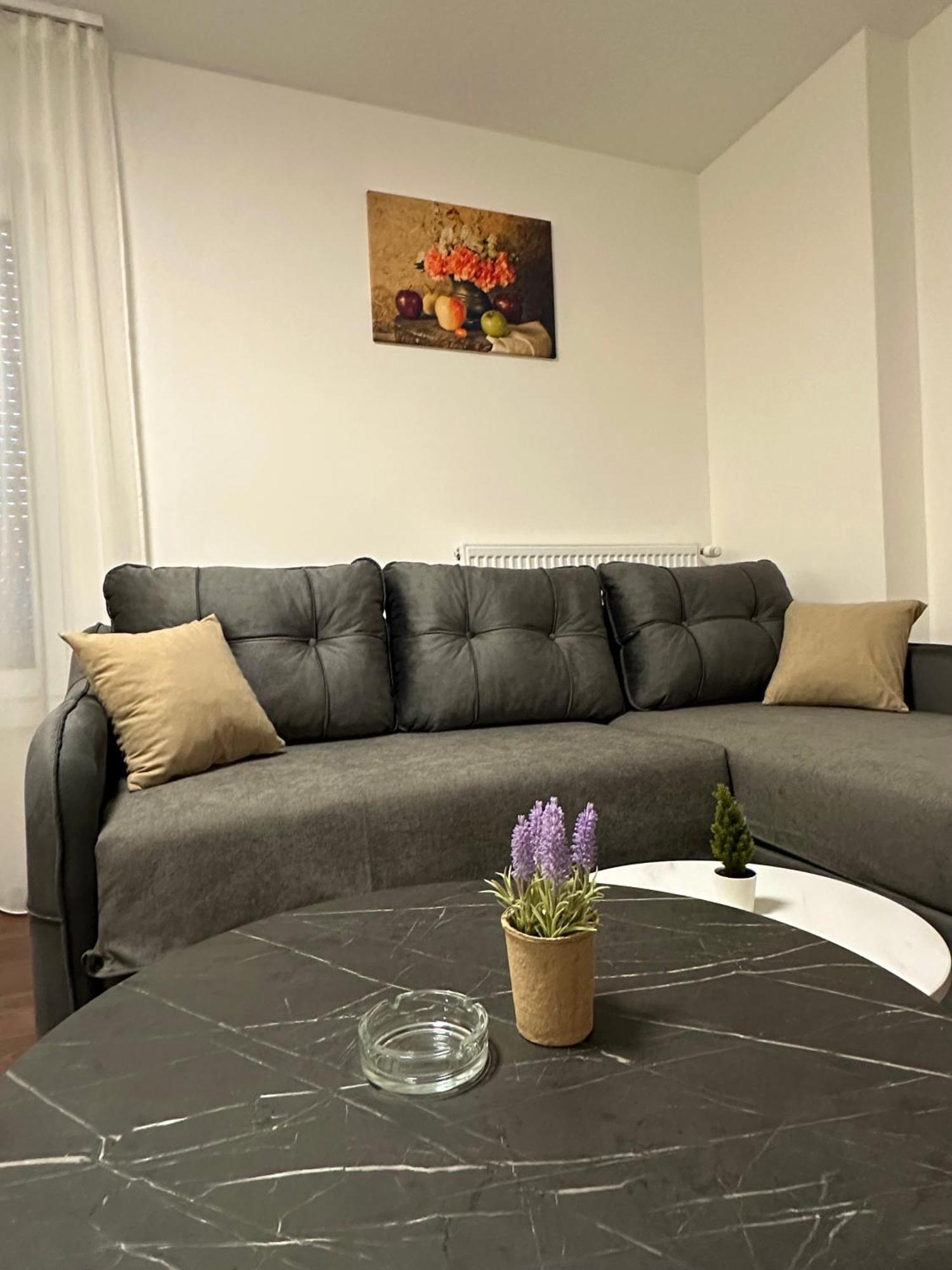Vila Drina Apartments Banja Koviljača Buitenkant foto