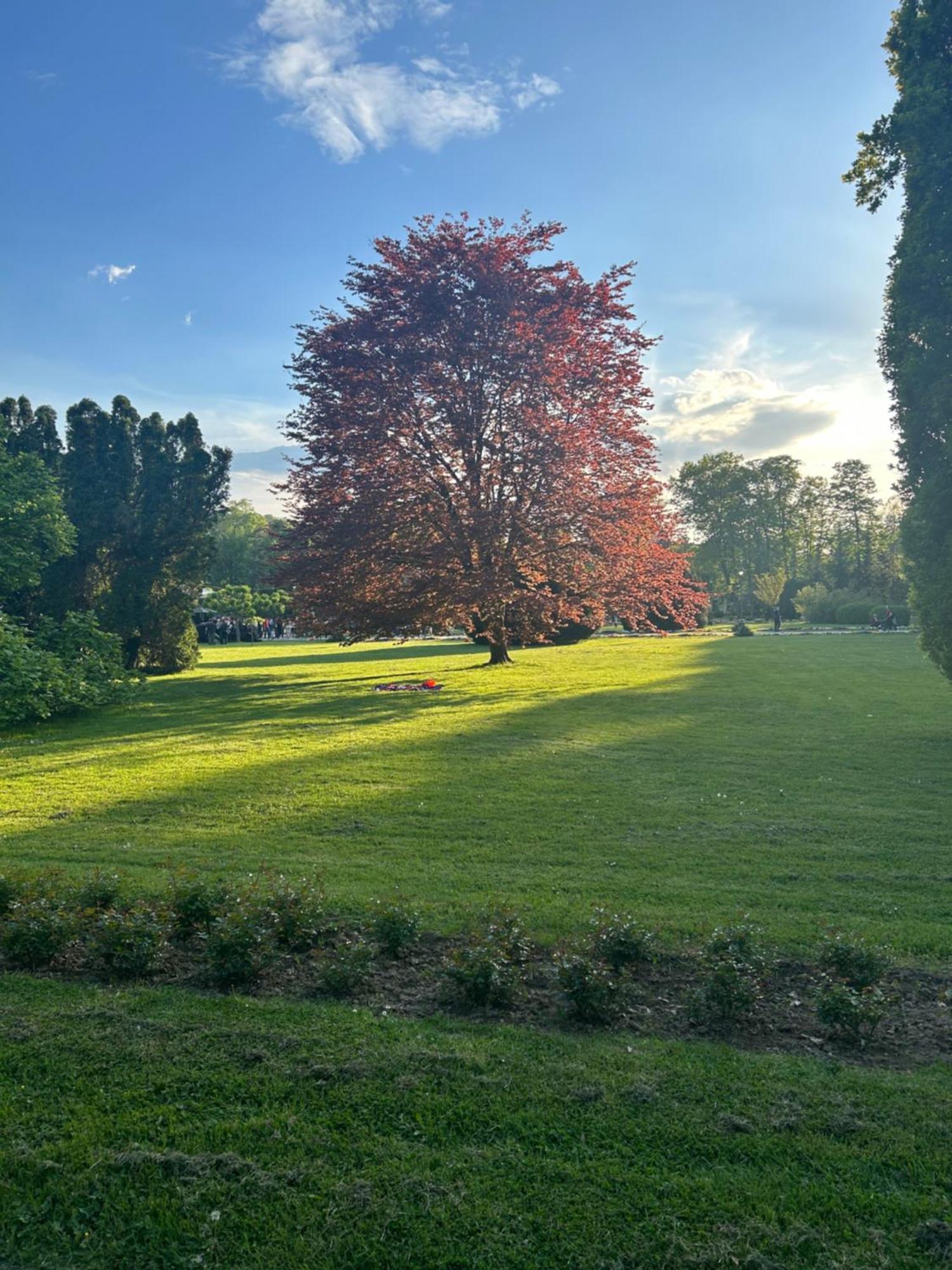 Vila Drina Apartments Banja Koviljača Buitenkant foto