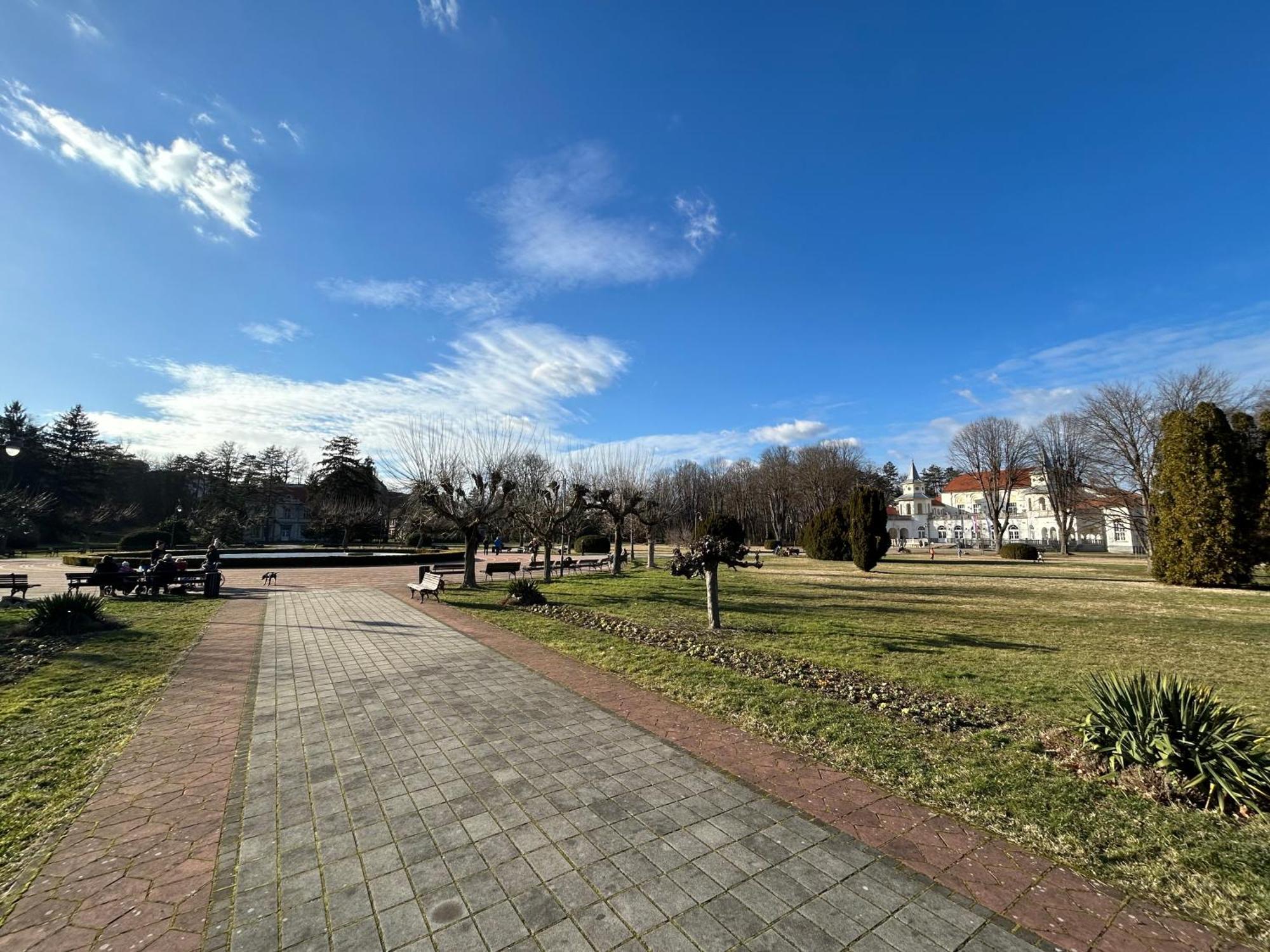 Vila Drina Apartments Banja Koviljača Buitenkant foto