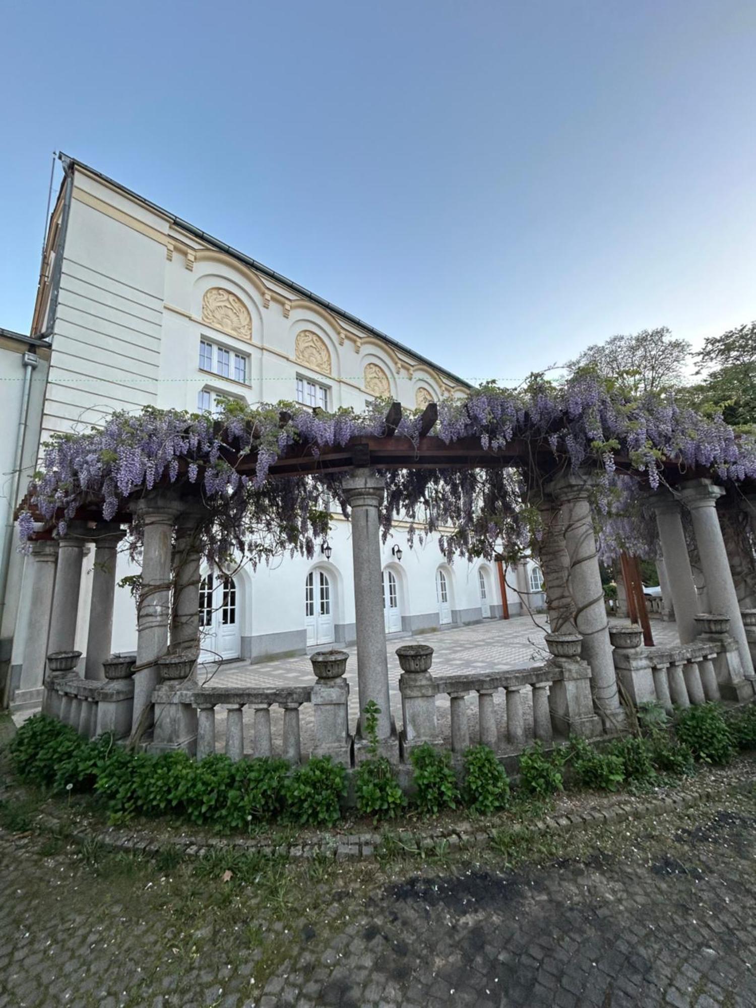 Vila Drina Apartments Banja Koviljača Buitenkant foto
